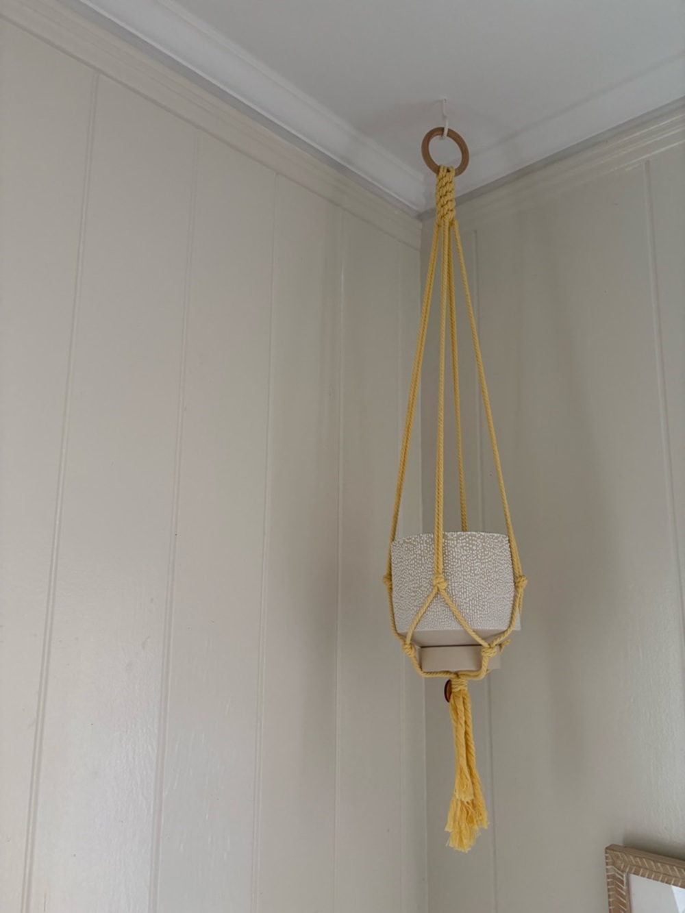 Yellow Macramé Hanging Plant Holder